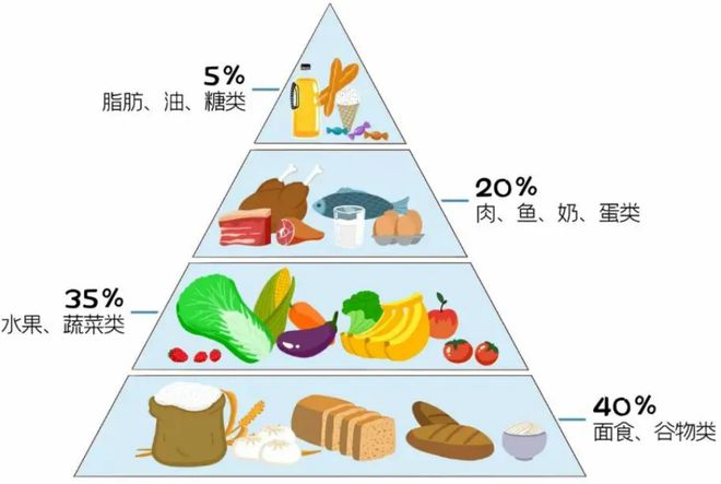 胰腺炎前三个月的食谱，科学饮食，助力康复