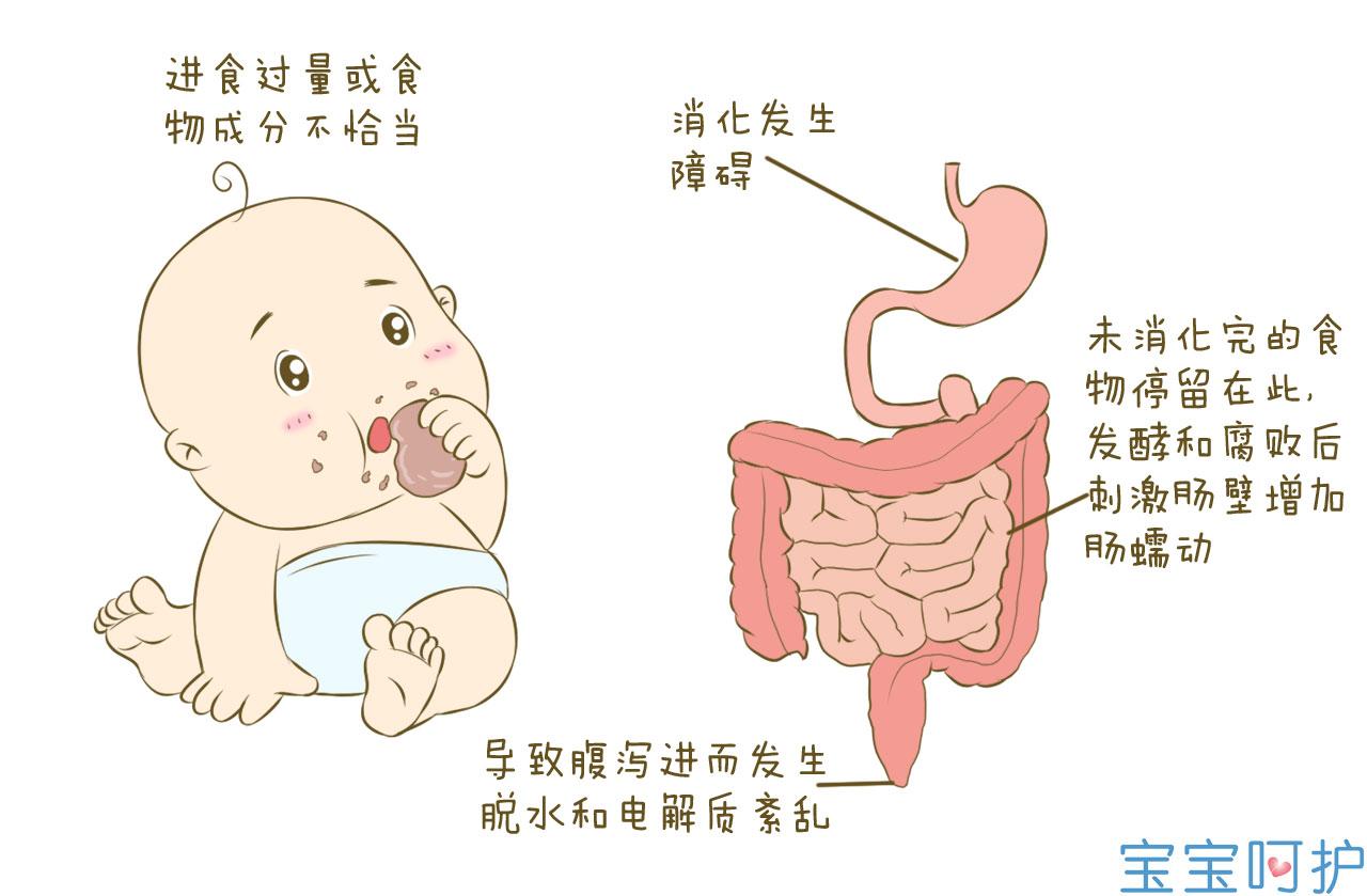 7个月宝宝肠炎性腹泻应该吃什么