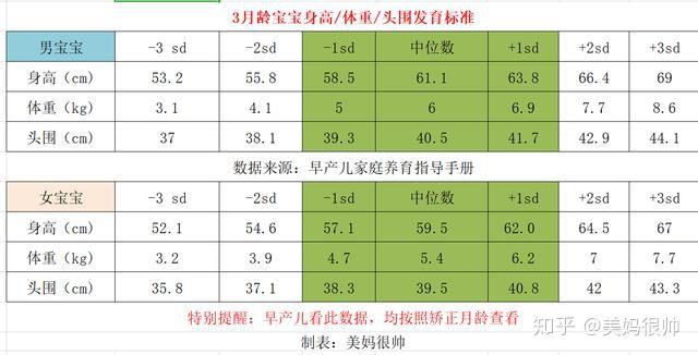 14个月宝宝发育指标，解锁成长的新里程碑