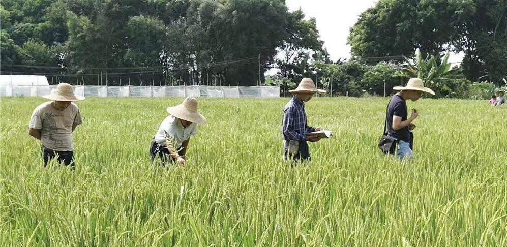 广东农机有限公司招聘启事