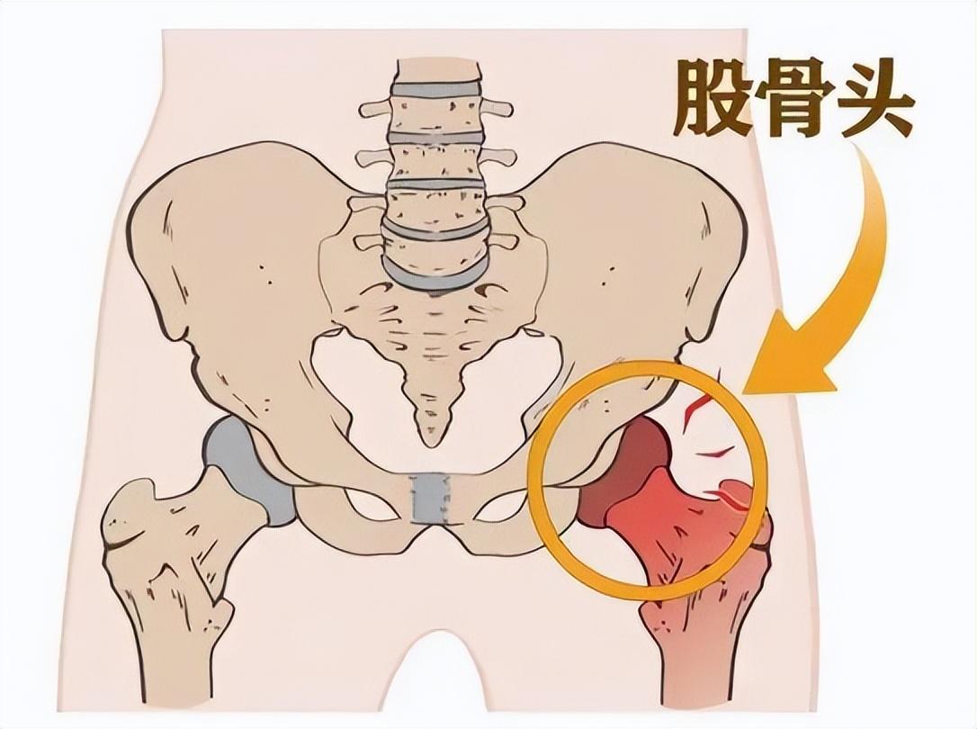 几个月小孩会走路，探索婴儿行走的奥秘