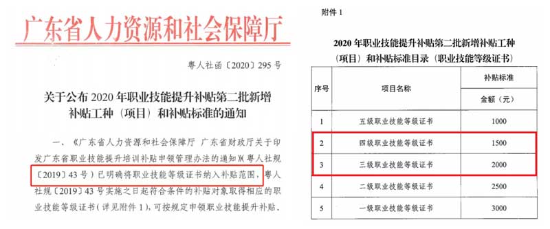 广东省职称申报表，解锁职业发展新篇章的钥匙