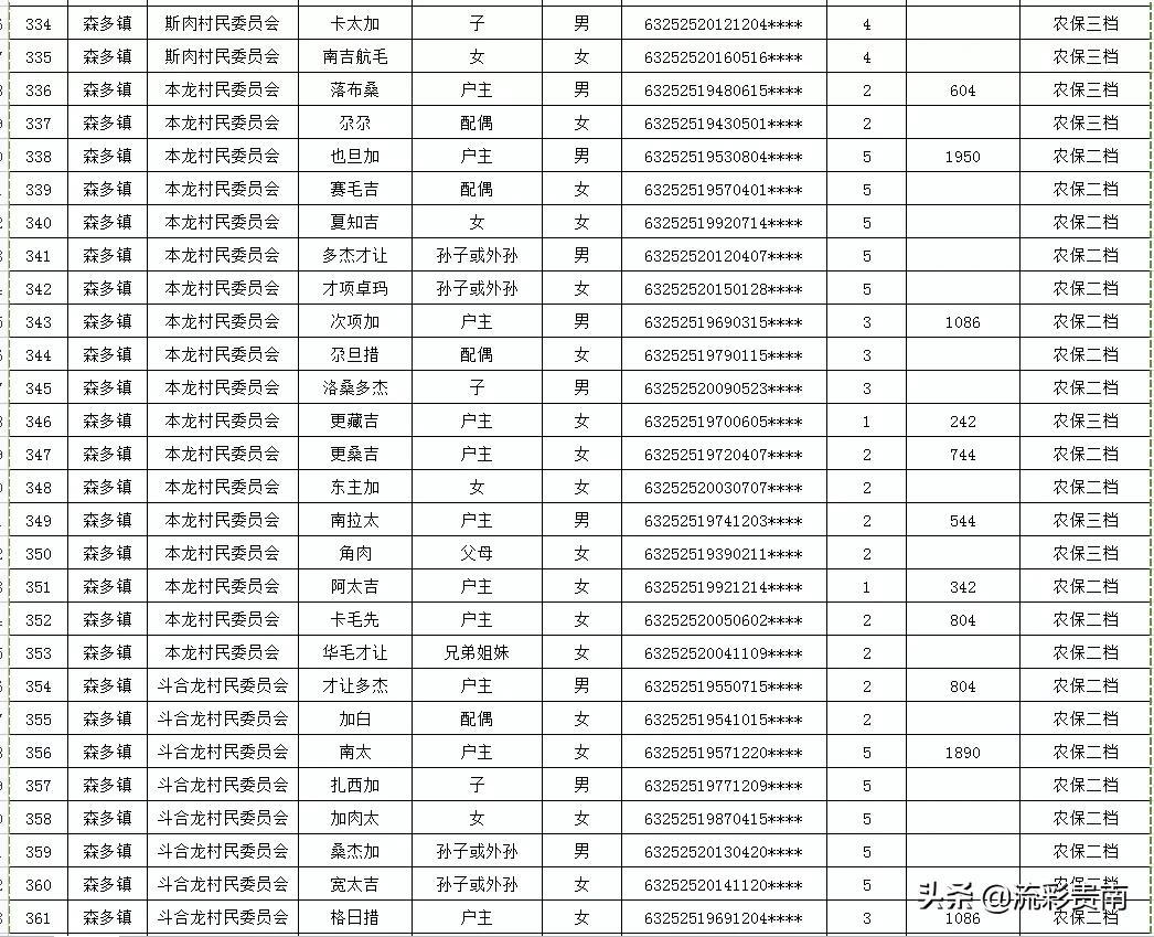 广东省低保2020，政策解读、实施成效与未来展望