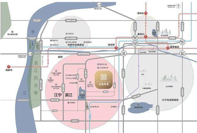 广东米粒有限公司地址，探索一家企业的成长轨迹与商业布局