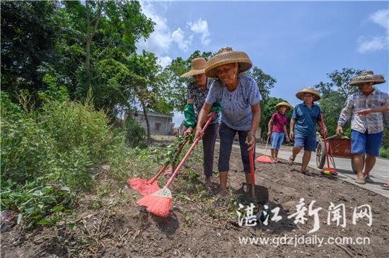 广东省环保大扫除，一场绿色革命的全民行动