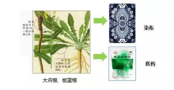 广东省那有蛇胆卖，探索传统药材市场与生态保护之间的平衡