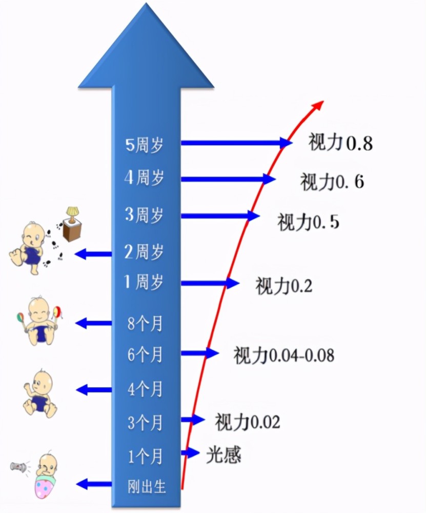 3个月婴儿能看多远，视觉发展的关键里程碑